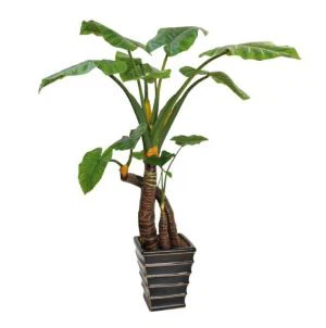 Artificiella Colocasia Esculenta Växter