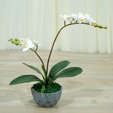 2 stjälkar Konstgjorda orkidéer Vit Phalaenopsis Layout Leverantör
