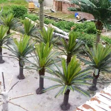 Dekorativa konstgjorda växter Sago Cycas Palm Tree